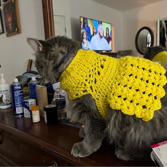 Handmade - Picture 11 of 14